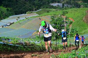 BIB: 8297
                            <button type="button" onclick="openModal(13381192)" class="btn btn-primary btn-sm float-right btn-popup" data-toggle="modal" data-target=".modal-high-quality">
                        <i class="fas fa-shopping-cart"></i> Add to Cart
                    </button>
                                            <button type="button" onclick="isThisMe(13381192, true)" class="btn btn-success btn-sm float-right btn-popup btn-isme hidden" data-toggle="tooltip" data-placement="bottom" title="นี่คือรูปของคุณใช่ไหม คลิกที่นี่เพื่อเอาเข้าอัลบั้ม">
                        <i class="fas fa-plus"></i> Add to album
                    </button>
                    <button type="button" onclick="isThisMe(13381192, false)" class="btn btn-warning btn-sm float-right btn-popup btn-isnotme hidden">
                        <i class="fas fa-ban"></i> Remove from album
                    </button>